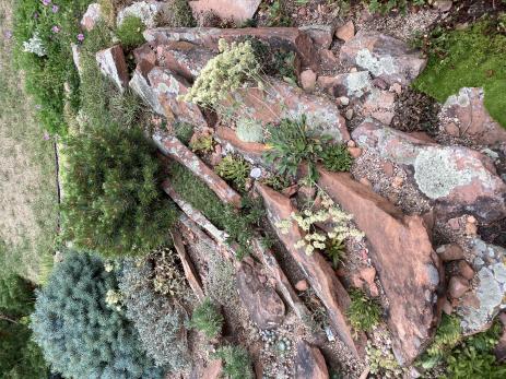 Part of Carol and Randy Shinns’ rock garden