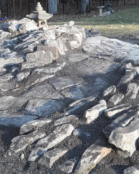 Flat stones serve as a walkway through the garden