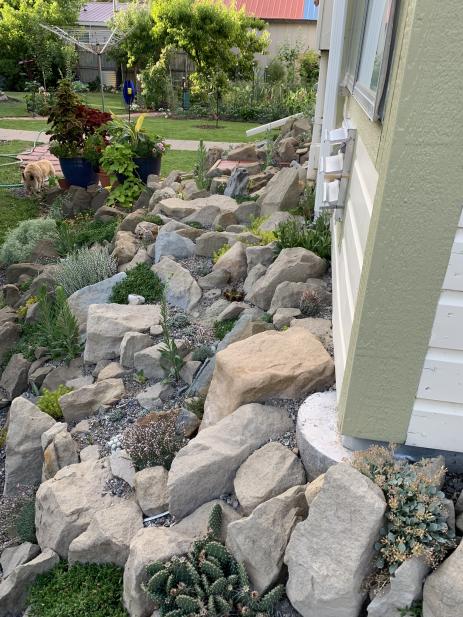 View of the crevice garden after planting