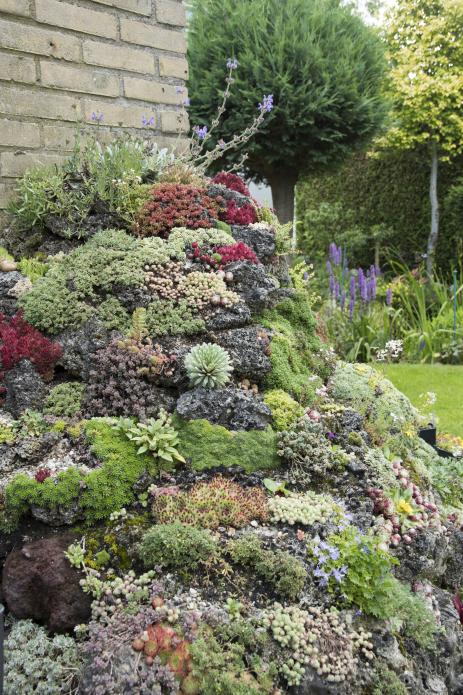 Many pieces of tuff placed together to create the effect of a large boulder.