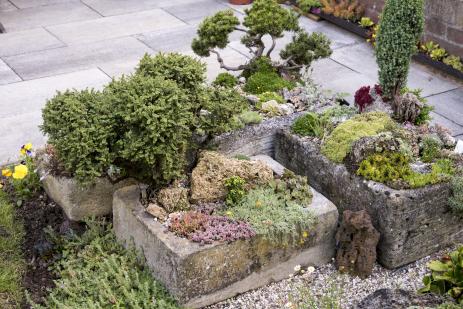 Troughs in the garden