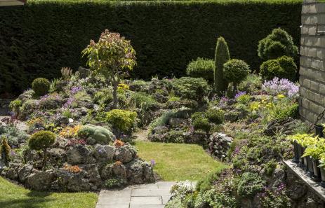 The garden is made of rocky outcrops rising up out of the lawn.