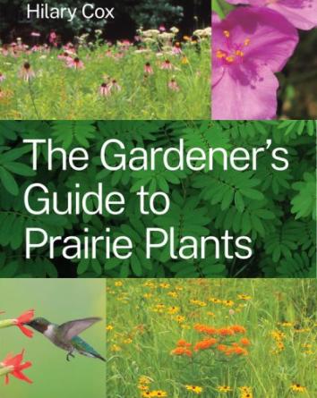 The Gardener’s Guide to Prairie Plants