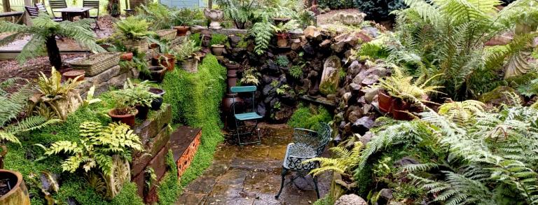 The Fernery