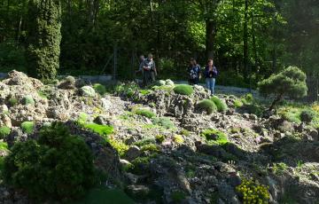 Cepicka Crevice Overview