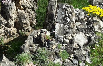 Cepicka Crevice Detail 2