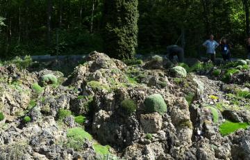 Cepicka Crevice Panorama