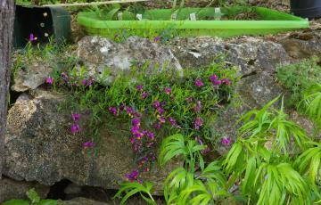 Cepicka Horizontal Boulder Crevices