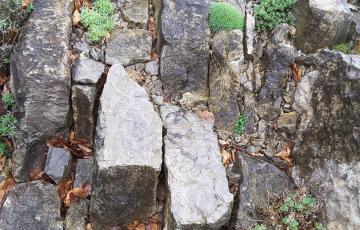 Brejnik Crevice Garden Rockwork