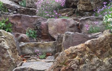 Brejnik Ascending Crevices