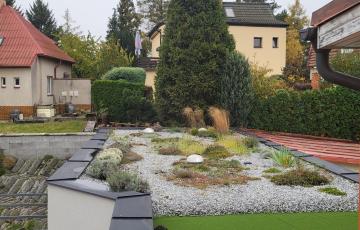 Roof Overlook Garden