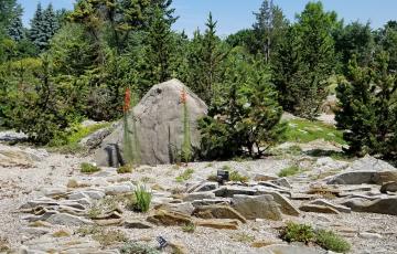 Montreal Crevice Garden