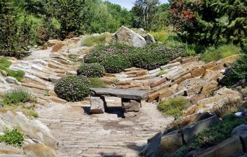 Daphne in the Alpine Garden