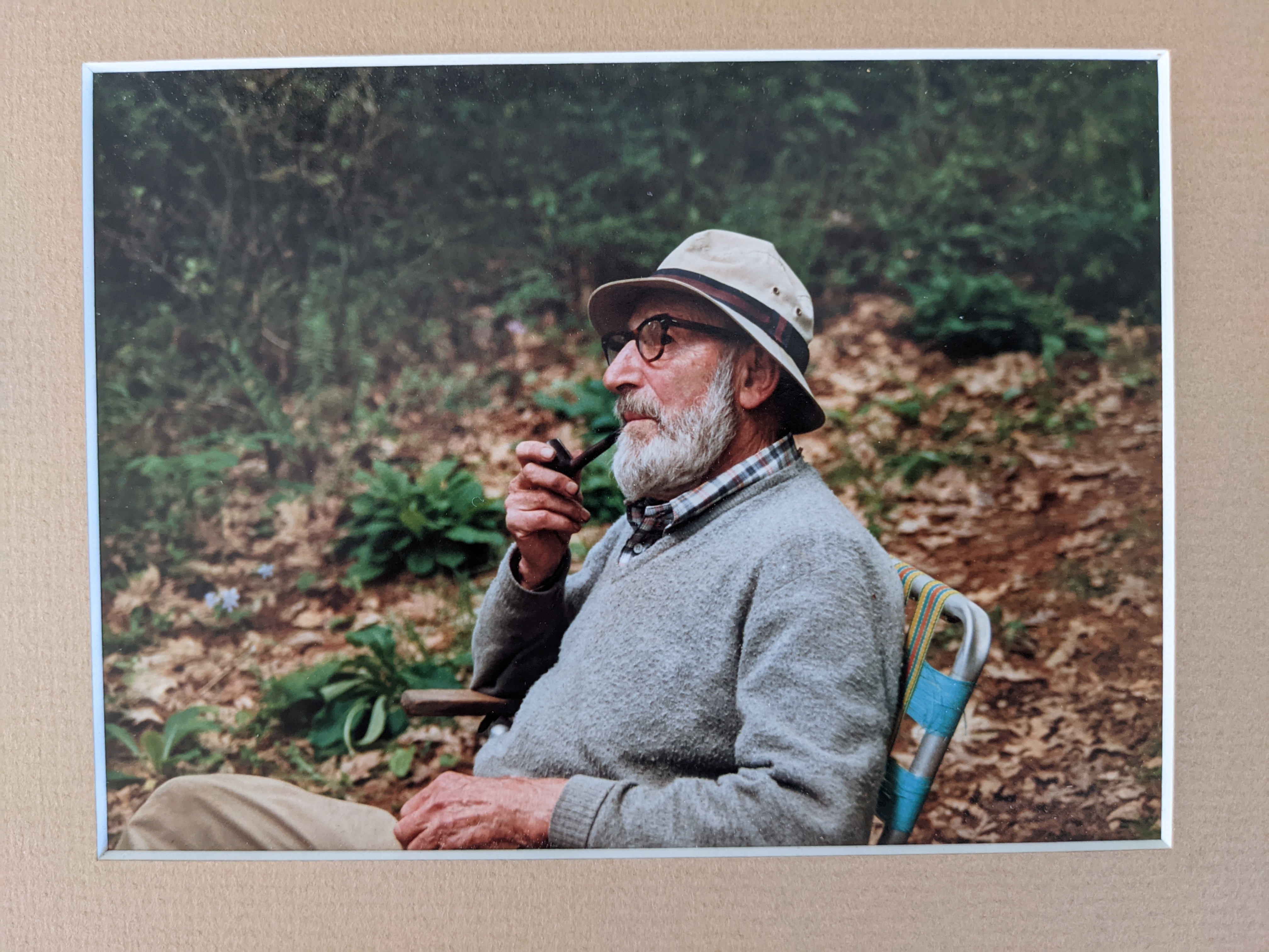 Dianthus myrtinervius ssp caespitosus?