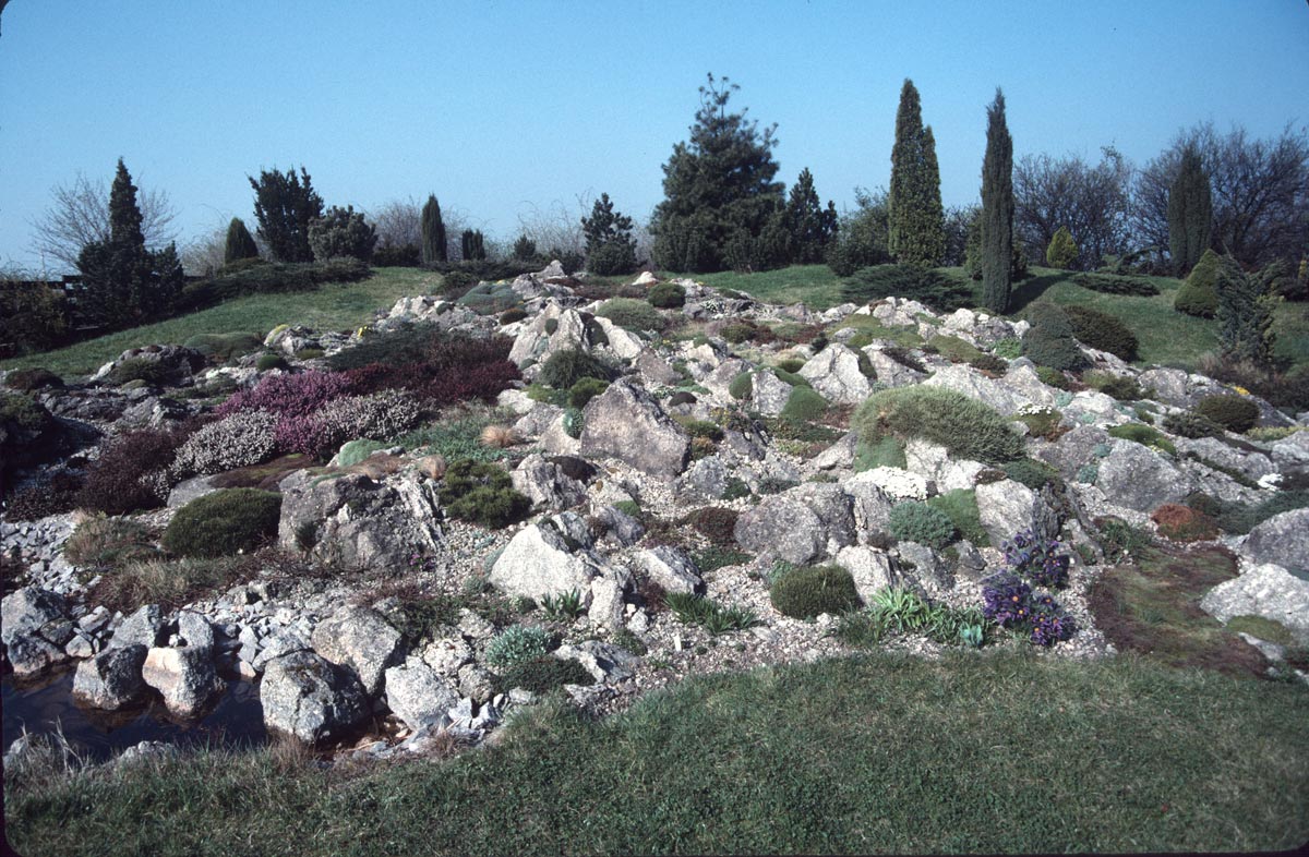 Mound Crevice Garden