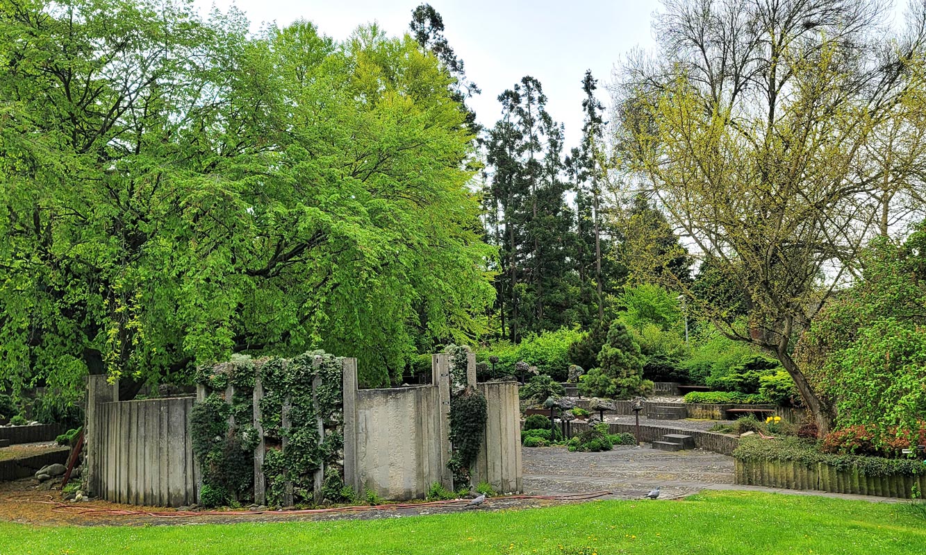 Amphitheater approach Mendel