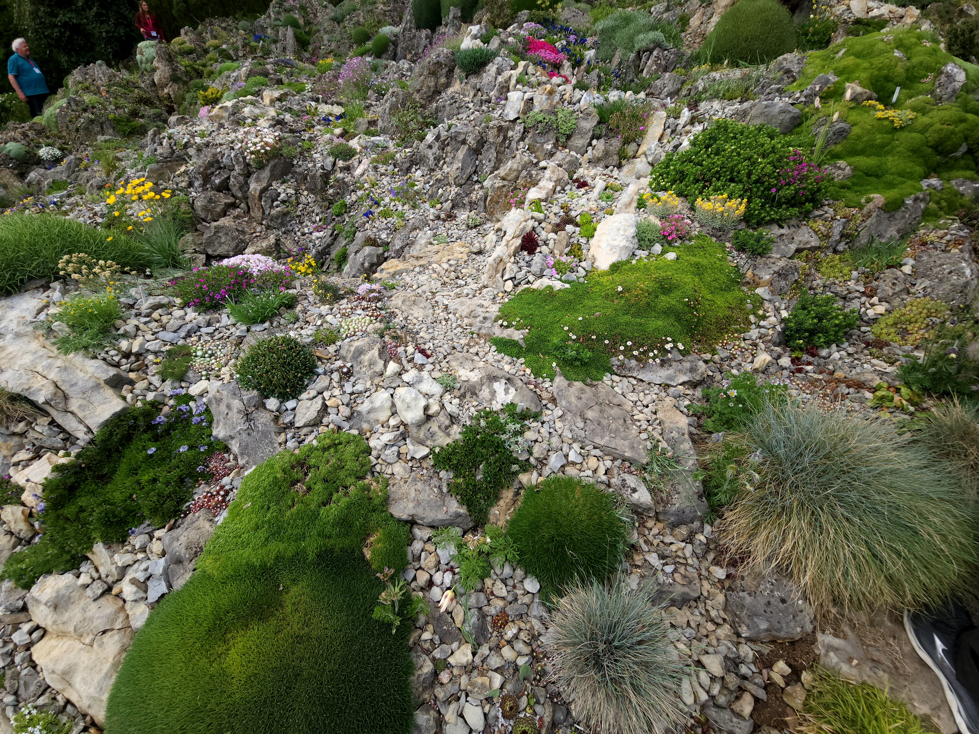 Cepika View Looking Across