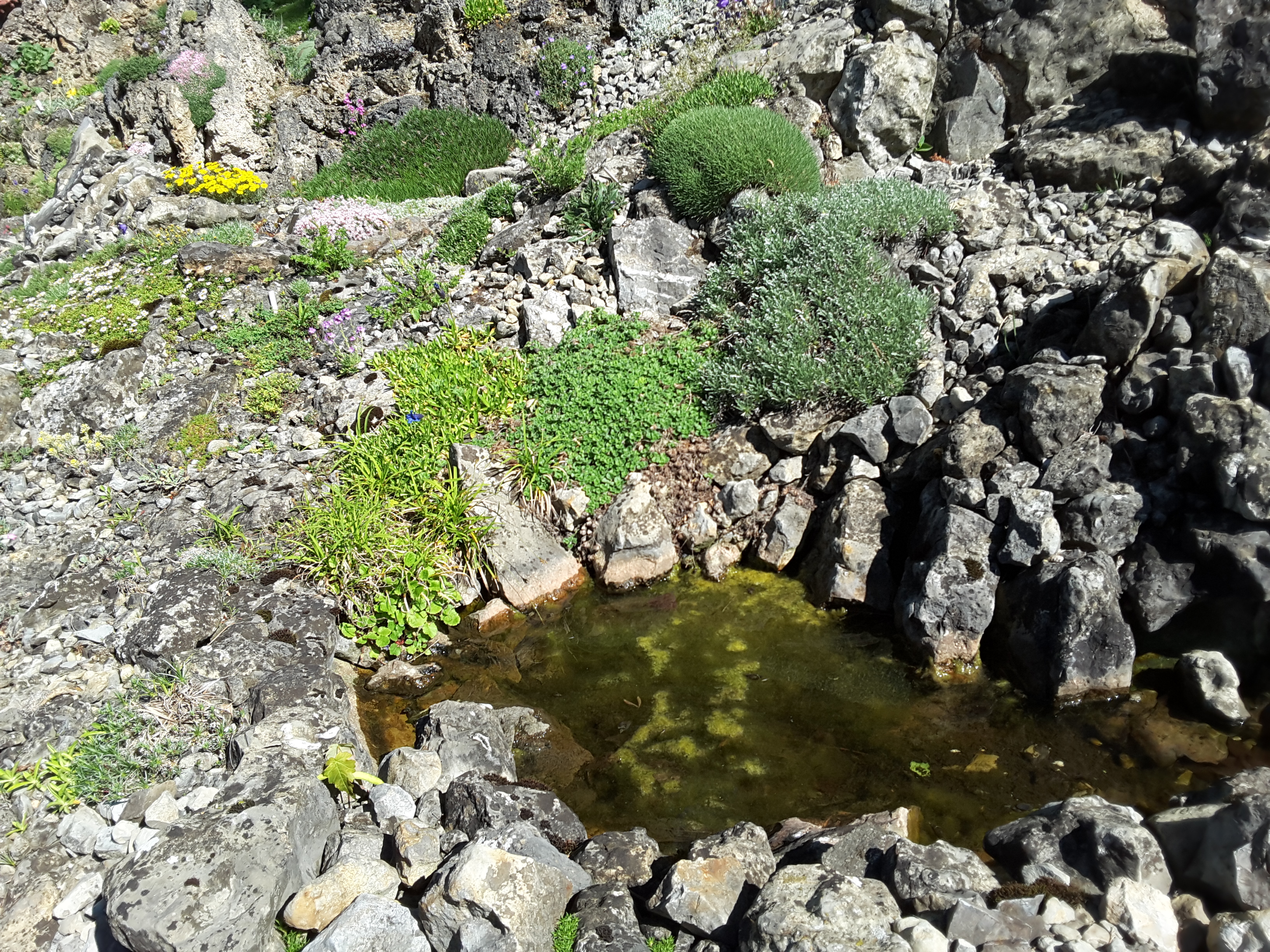 Cepicka Crevices with Water Feature