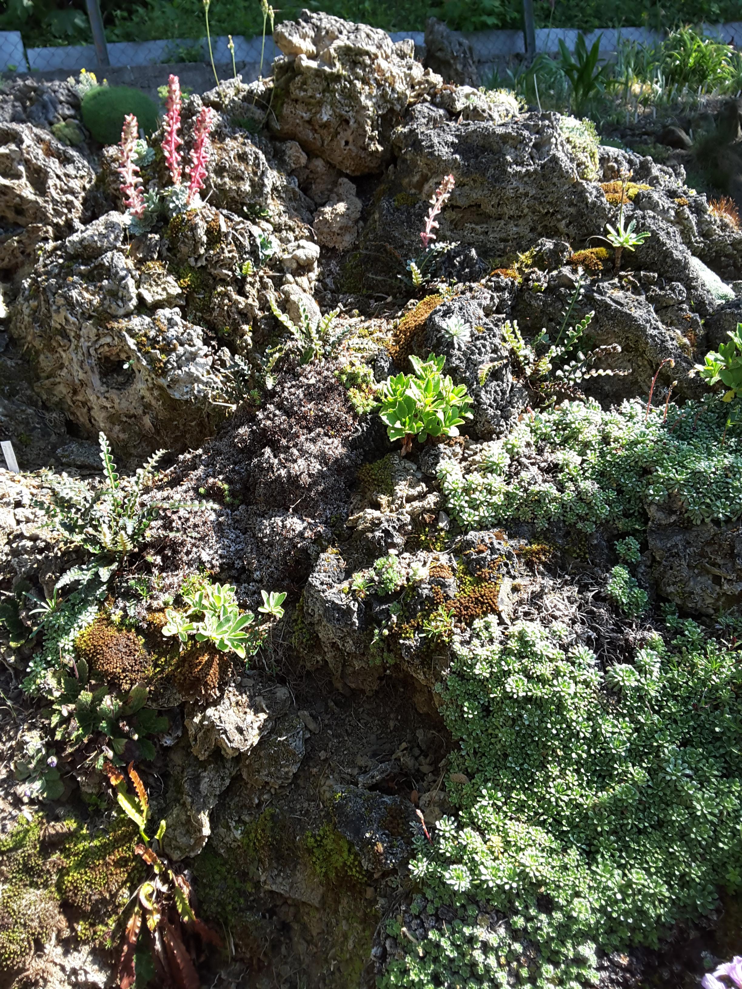 Cepicka Tufa Outcrop