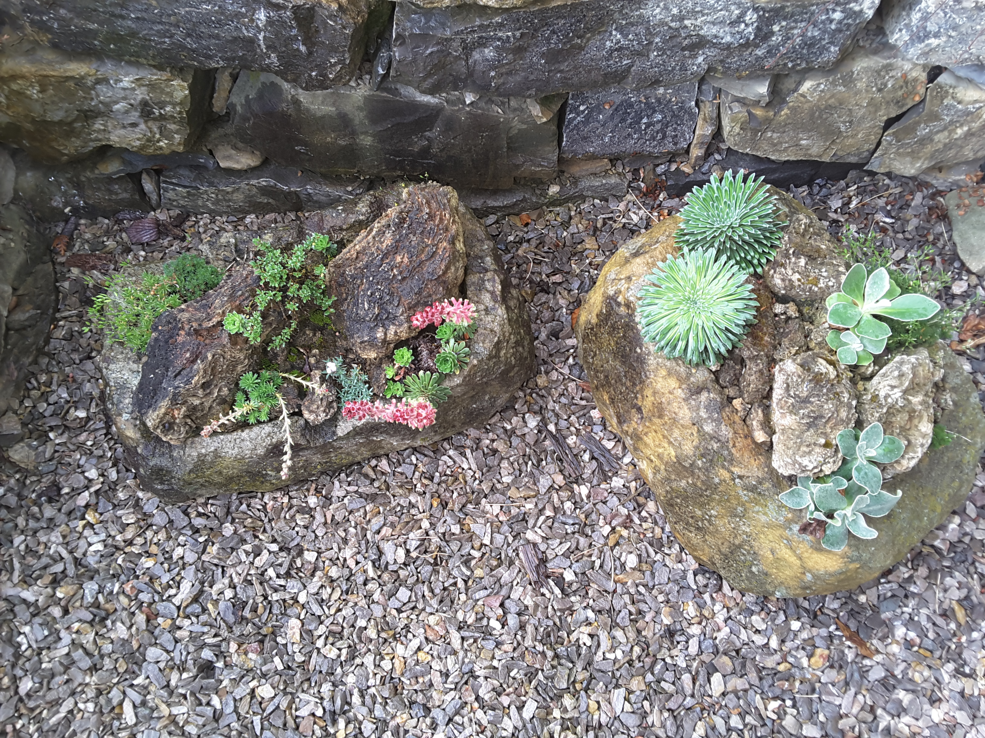 Brejnik Small Troughs