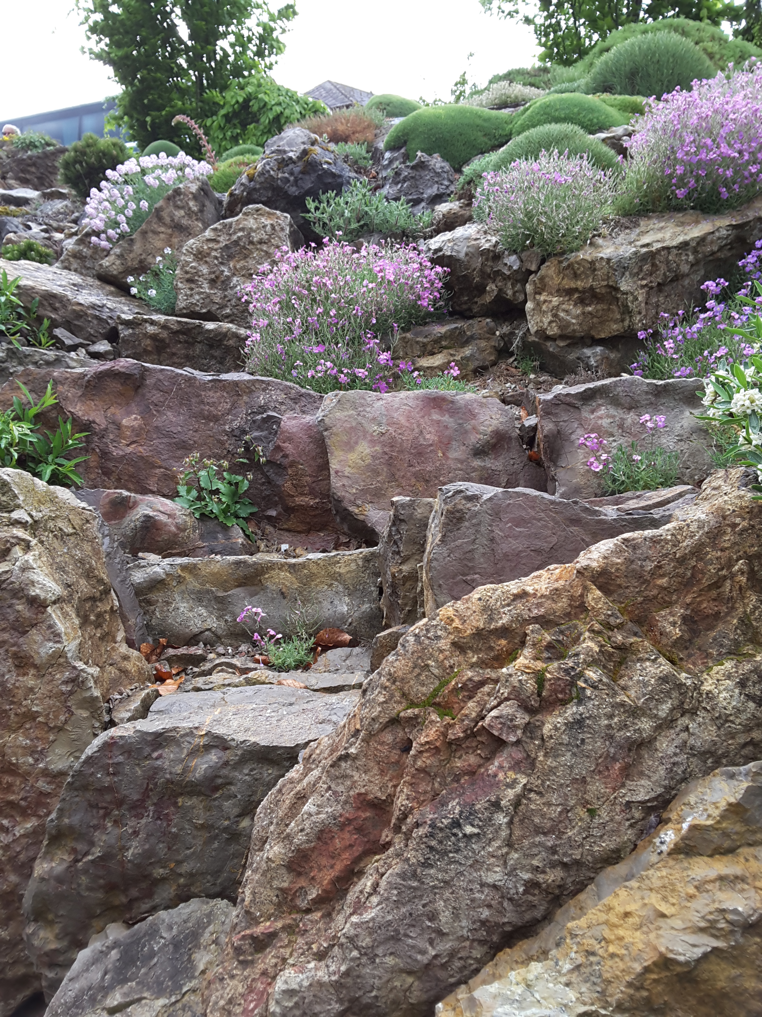 Brejnik Ascending Crevices