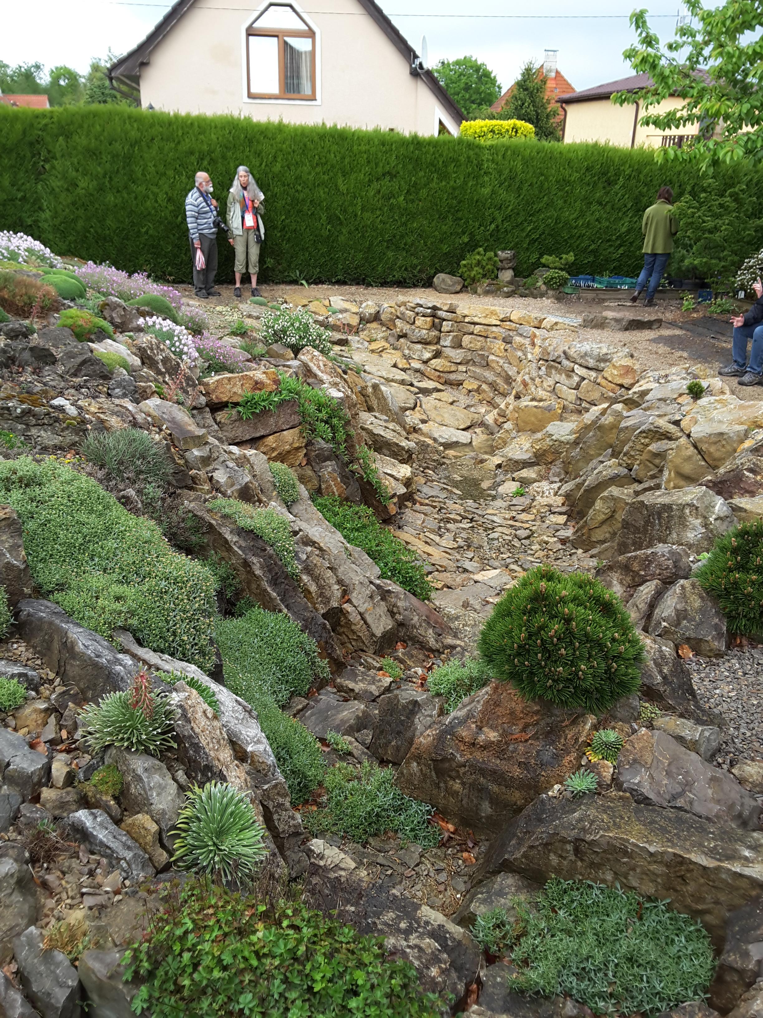 Brejnik Crevice Garden Overview