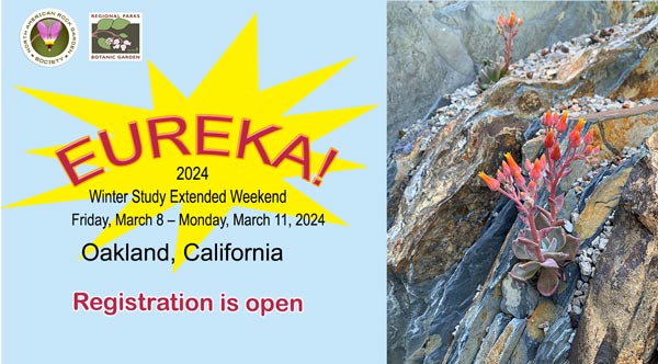 Western Study Weekend