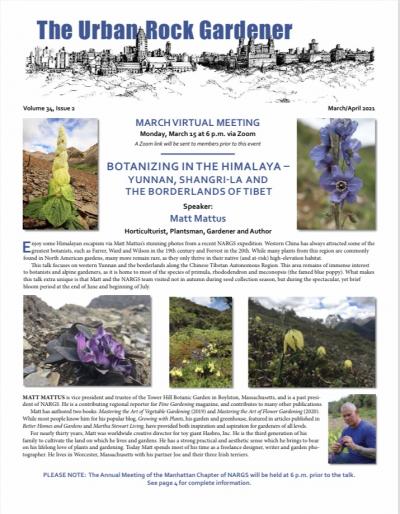 THE URBAN ROCK GARDENER