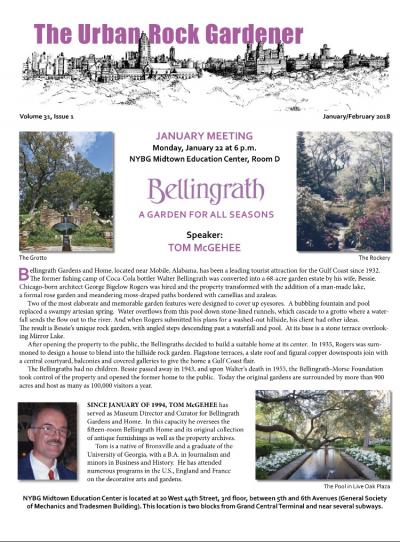 The Urban Rock Gardener