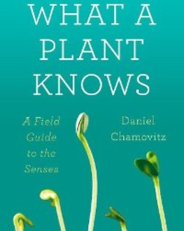 What a Plant Knows Cover