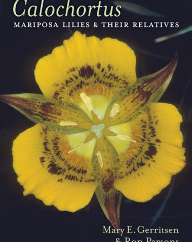 Calochortus: Mariposa Lilies and their Relatives book cover