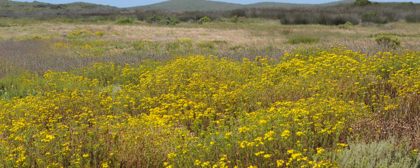 West Coast National Park