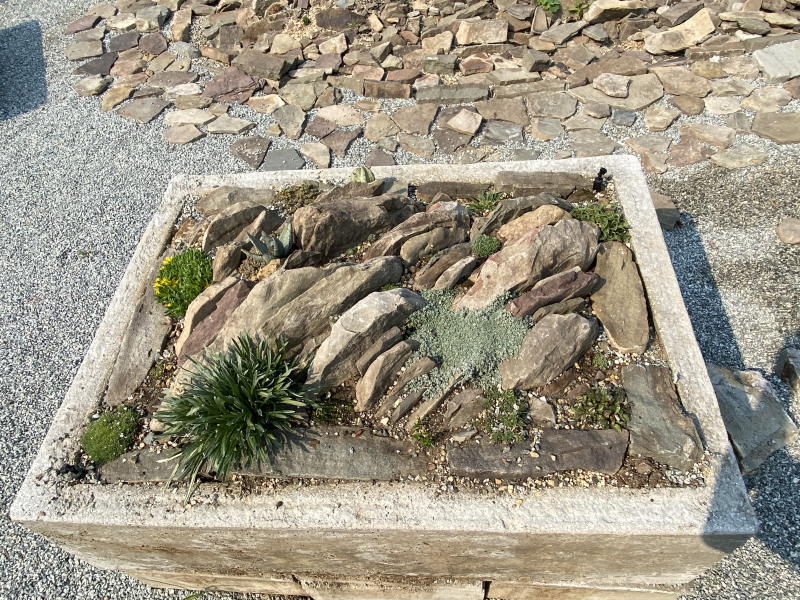 A crevice-style trough A crevice-style trough