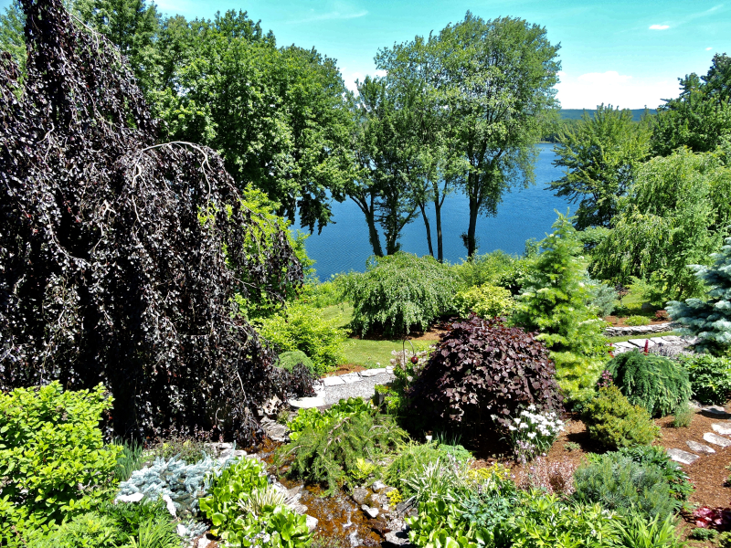 Garden with lake views, Photo by George Fearon Garden with lake views, Photo by George Fearon