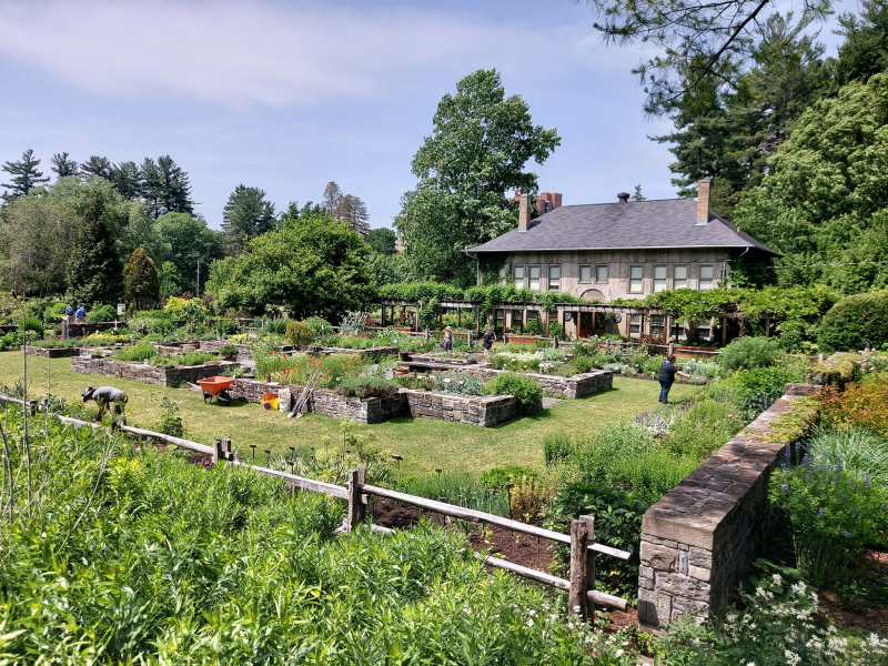 Herb garden at Cornell Botanic Gardens. Photo by Eleftherios Dariotis. Herb garden at Cornell Botanic Gardens. Photo by Eleftherios Dariotis.