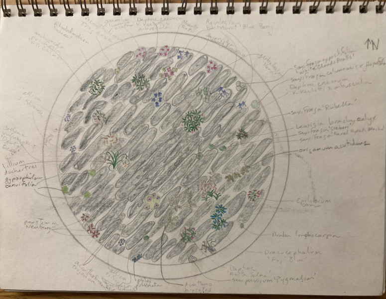 Drawing of the planned crevice garden Drawing of the planned crevice garden