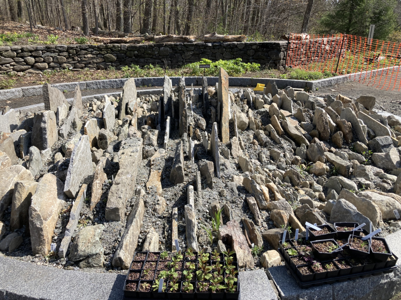 The crevice structure built and ready for planting The crevice structure built and ready for planting