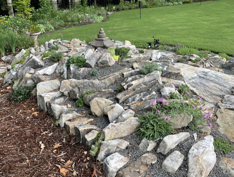 The new garden ten weeks after planting. The new garden ten weeks after planting.