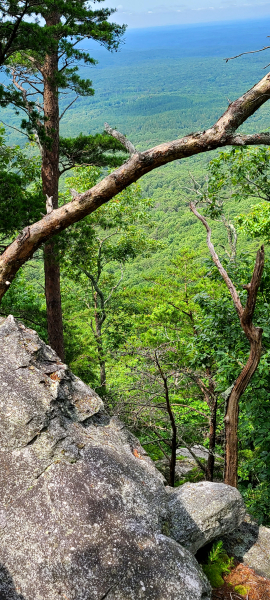 The view from Cheaha Mountain The view from Cheaha Mountain