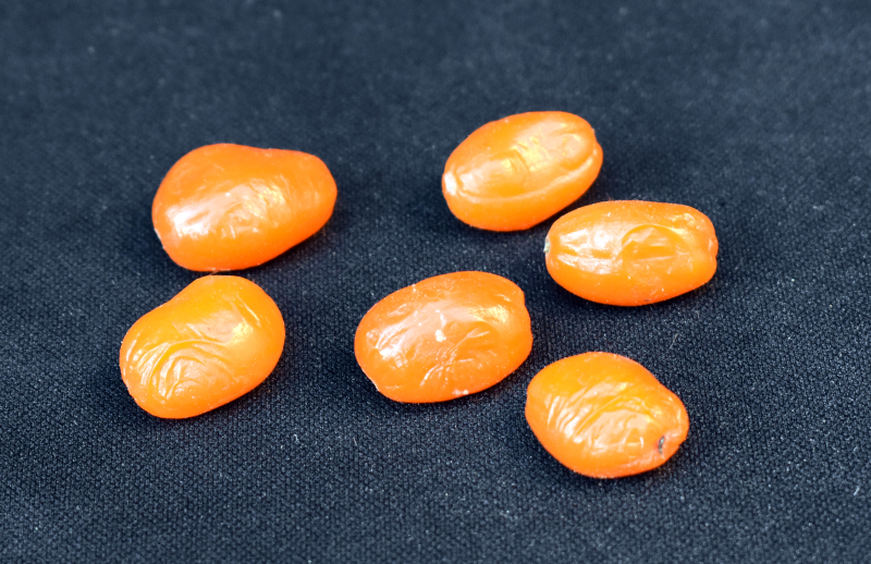 Haemanthus deformis fruit Haemanthus deformis fruit