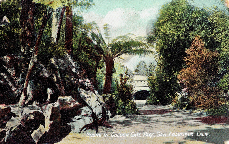 A turn-of-the-century postcard looking north from the rockery to the Conservatory of Flowers in the distance.’ A turn-of-the-century postcard looking north from the rockery to the Conservatory of Flowers in the distance.’