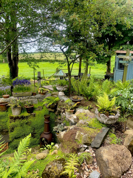Looking down into the completed fernery Looking down into the completed fernery