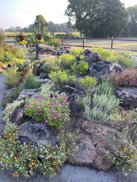Rock garden with Zinnia angustifolia blooming in the front. Rock garden with Zinnia angustifolia blooming in the front.