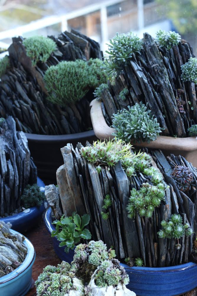 Portable rock gardens are a wonderful addition to any garden. Portable rock gardens are a wonderful addition to any garden.