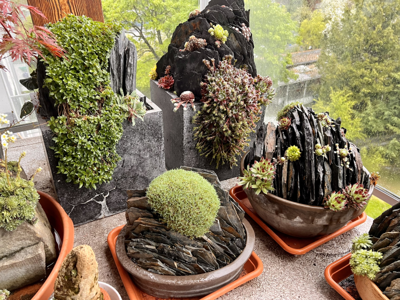 Different pot sizes and shapes each bring a different look to the composition. Different pot sizes and shapes each bring a different look to the composition.