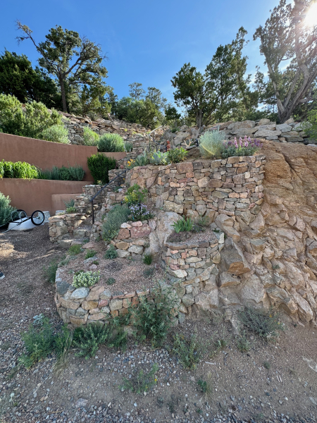 A rock wall full of plants. A rock wall full of plants.