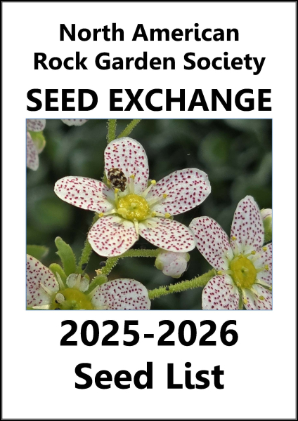 Saxifraga flower with insect on cover of the Seed List