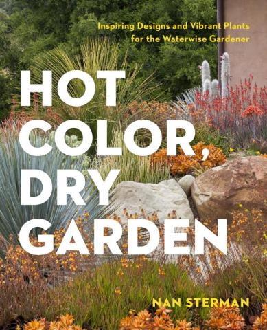 Hot Color, Dry Garden