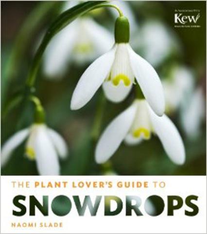 A Plant Lover's Guide to Snowdrops A Plant Lovers Guide to Snowdrops