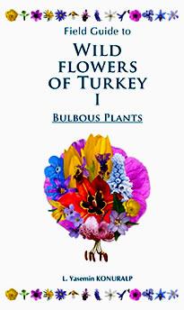 Wild Flowers of Turkey